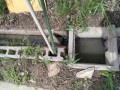 IMG_20260709_093043