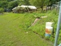 IMG_20260709_093109