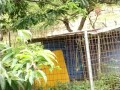 IMG_20260709_093537