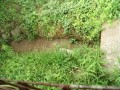 IMG_20260709_093603