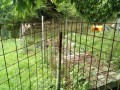 IMG_20260709_093623