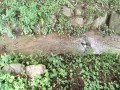IMG_20260709_093628