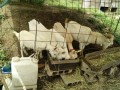 IMG_20260709_093912