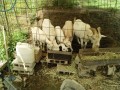 IMG_20260709_093916