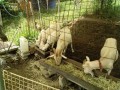 IMG_20260709_093923