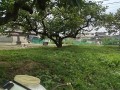 IMG_20260709_121246