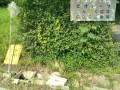 IMG_20260710_083541