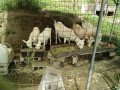 IMG_20260710_083954