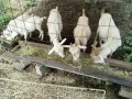 IMG_20260710_084001