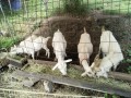 IMG_20260710_084014