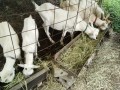 IMG_20260710_084024