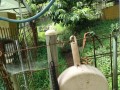 IMG_20260710_084029