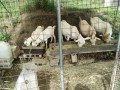 IMG_20260710_084038
