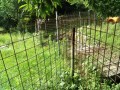 IMG_20260710_084054