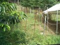 IMG_20260710_084103