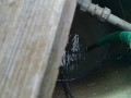 IMG_20260711_072813