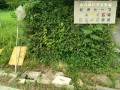 IMG_20260711_072822