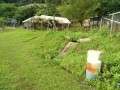 IMG_20260711_072934