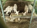 IMG_20260711_073248