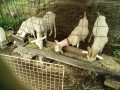 IMG_20260711_073253
