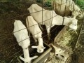 IMG_20260711_073304