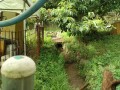 IMG_20260711_073308