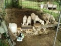 IMG_20260711_073321