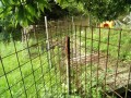 IMG_20260711_073336