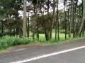IMG_20260711_082925