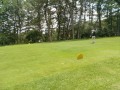 IMG_20260711_125847