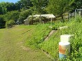 IMG_20260712_090120