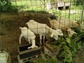 IMG_20260712_090704