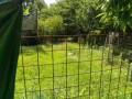 IMG_20260712_090747
