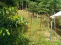 IMG_20260712_090758