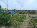 IMG_20260712_112957