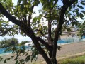 IMG_20260712_113046
