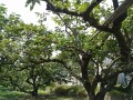 IMG_20260712_113049