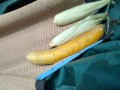 IMG_20260712_122438