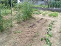 IMG_20260712_122510