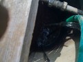 IMG_20260713_093458