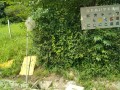 IMG_20260713_093506