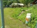 IMG_20260713_093608