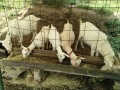 IMG_20260713_093723