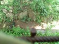 IMG_20260713_093822