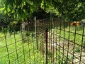 IMG_20260713_093829