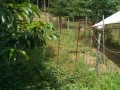 IMG_20260713_093839