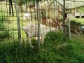 IMG_20260713_094851