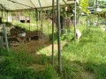 IMG_20260713_094923