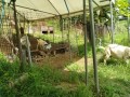 IMG_20260713_094953