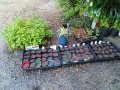IMG_20260713_191918